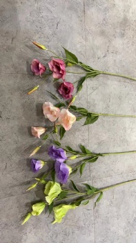 Lisianthus