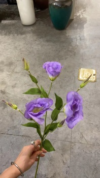 Lisianthus