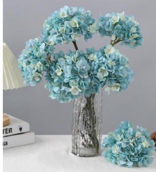 Hydrangea