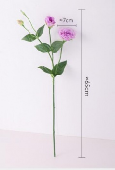 Lisianthus