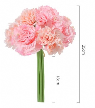 Carnations